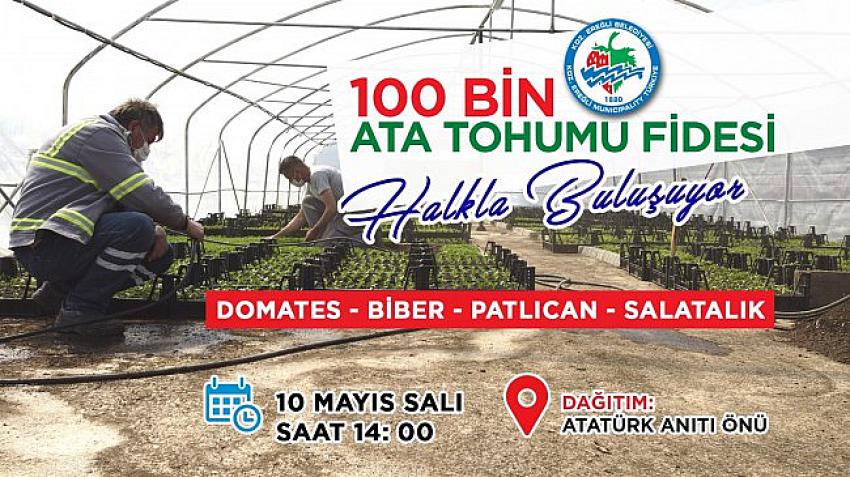 100 bin adet Ata Tohumu fidesi dağıtılacak..