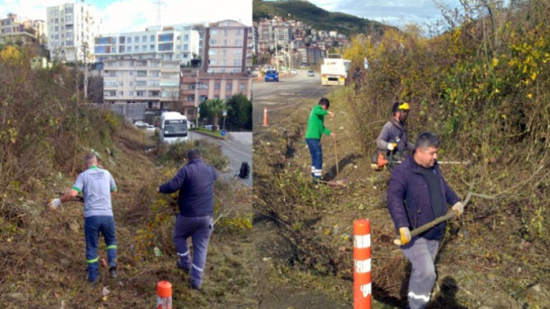 Kdz. Ereğli'de Belediye İşçilerinden Mahalle Temizliği