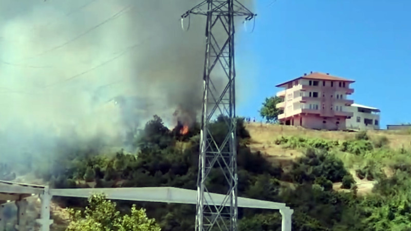 Kdz.Ereğli Organize Sanayi Bölgesi'nde orman yangını çıktı